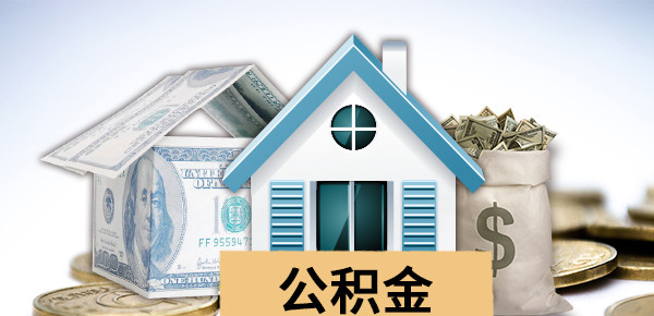 投资与借款合同条款详解