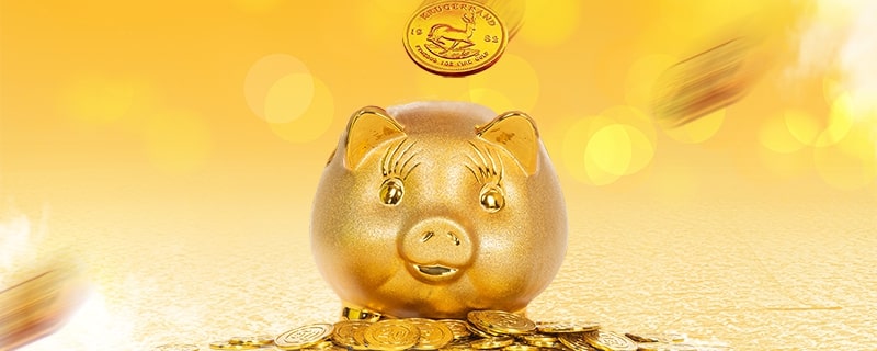 正规上海贷款公司概览：专业服务与合规经营